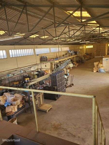 Armazém Industrial com Licença Ativa | Lourosa (Santa Maria da Feira) - Grande imagem: 4/6