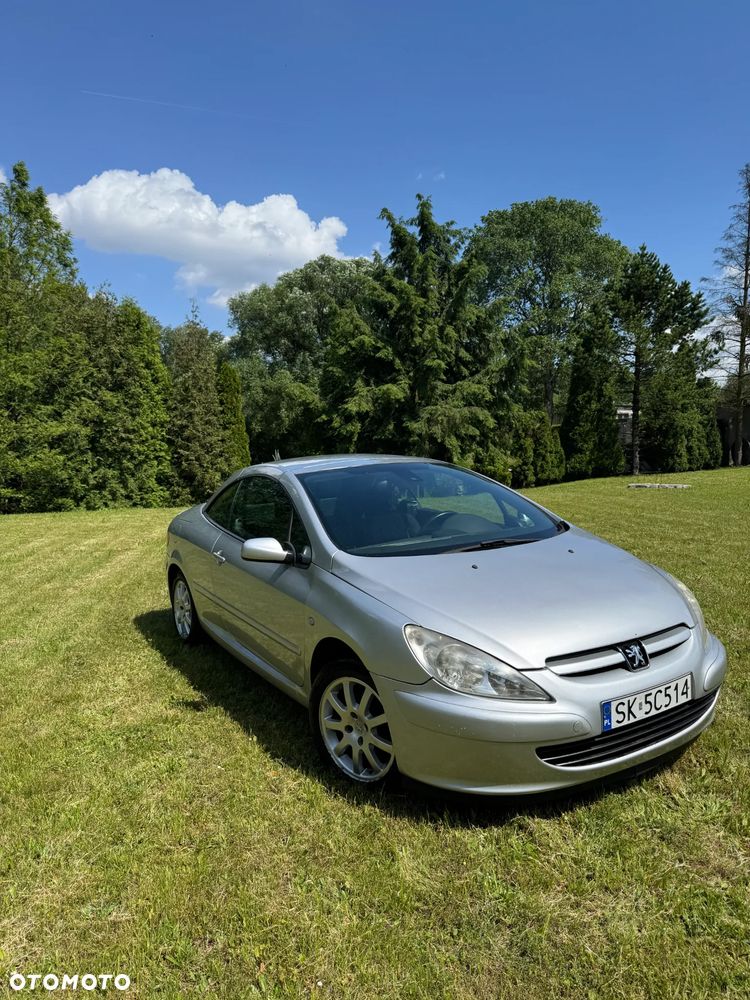 Peugeot 307 CC - 14