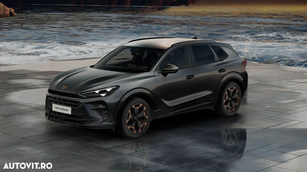 Cupra Terramar - 12