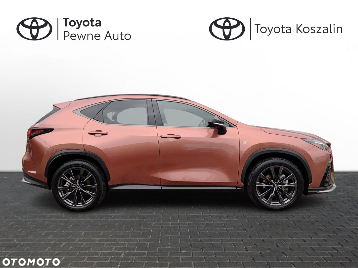 Lexus NX 350h F Sport AWD - 27