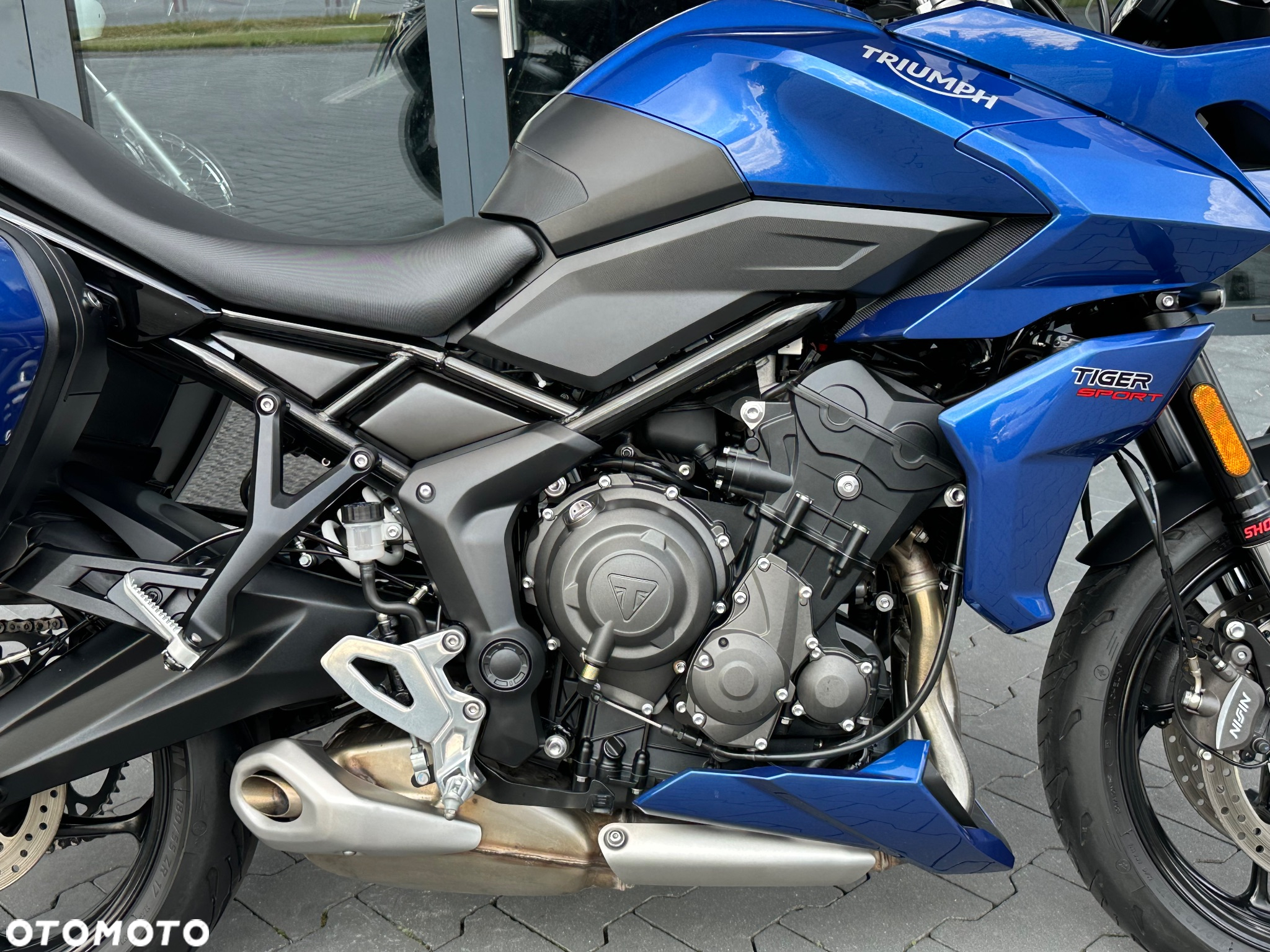 Triumph Tiger - 7