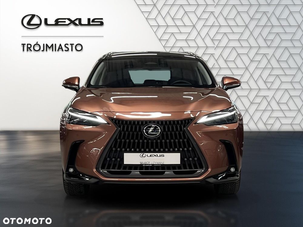 Lexus NX 350h Omotenashi AWD - 9