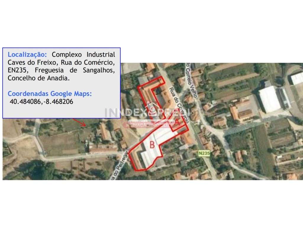 Armazém - Caves - Anadia - Grande imagem: 5/43