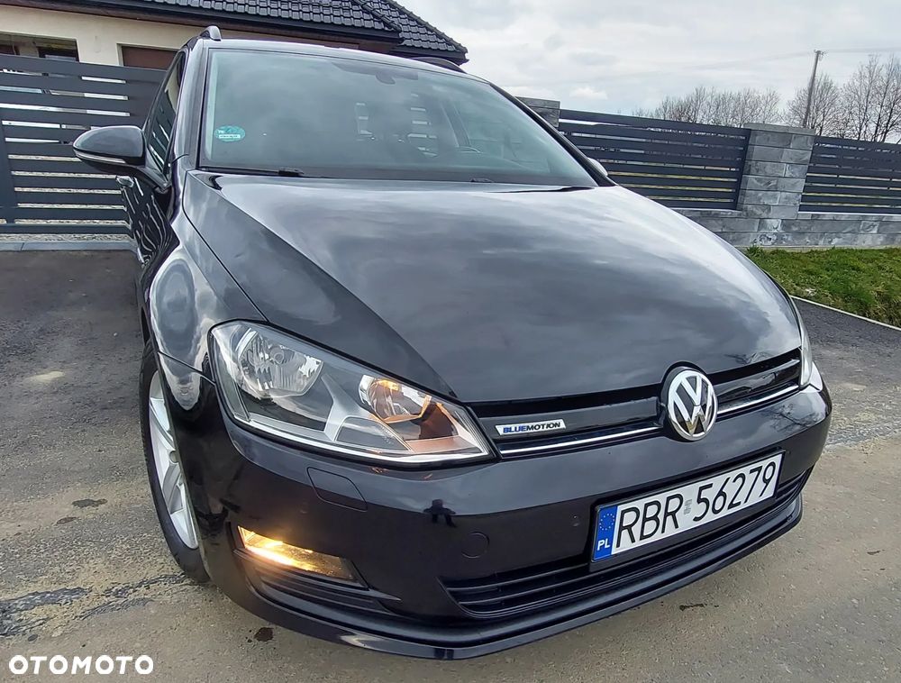 Volkswagen Golf - 1