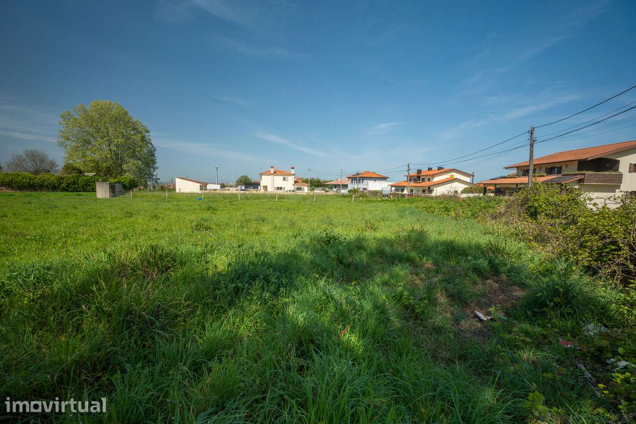 Terreno para construção em Salreu - Estarreja - Grande imagem: 4/8