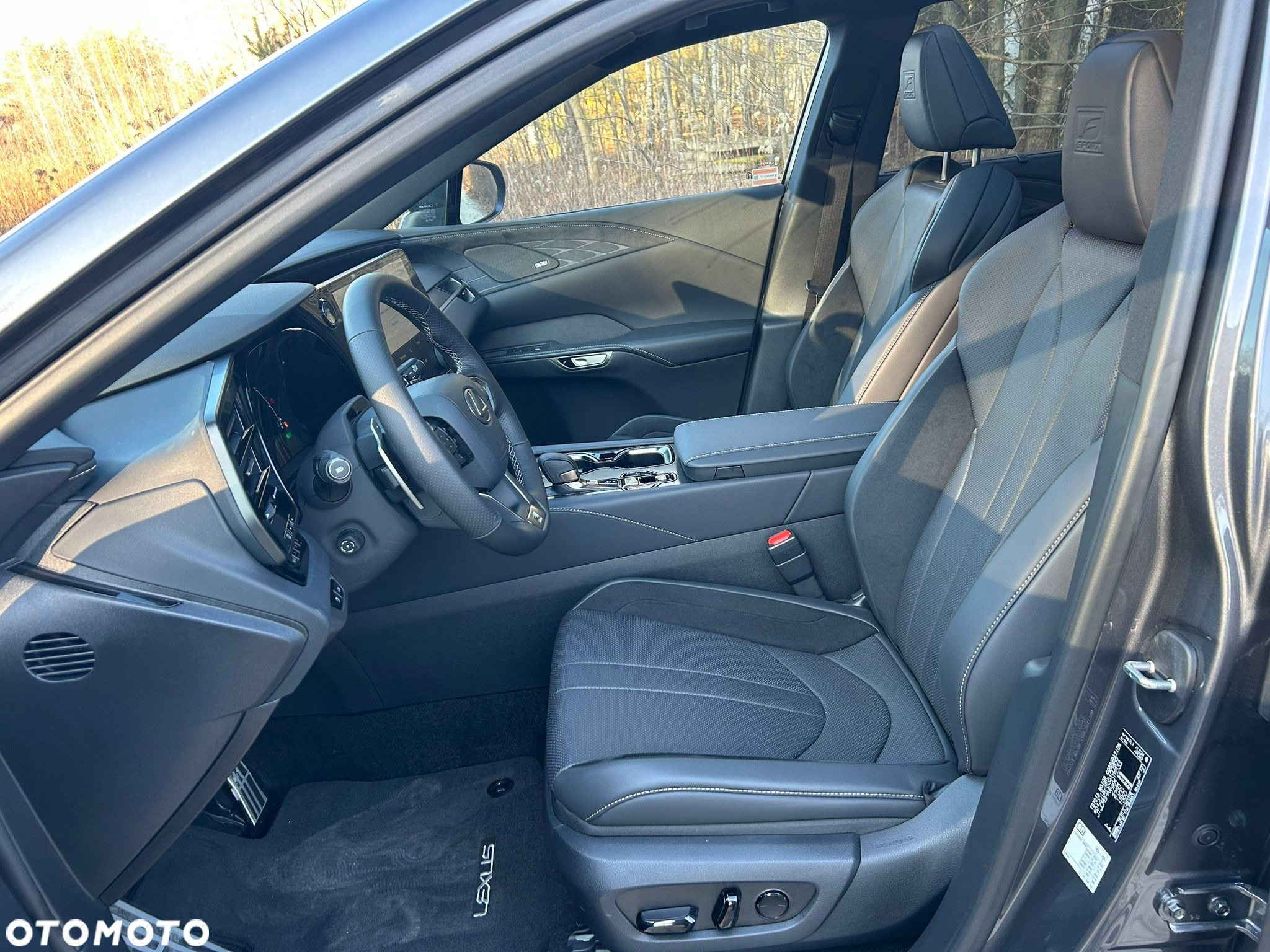 Lexus RX 500h F Sport - 27