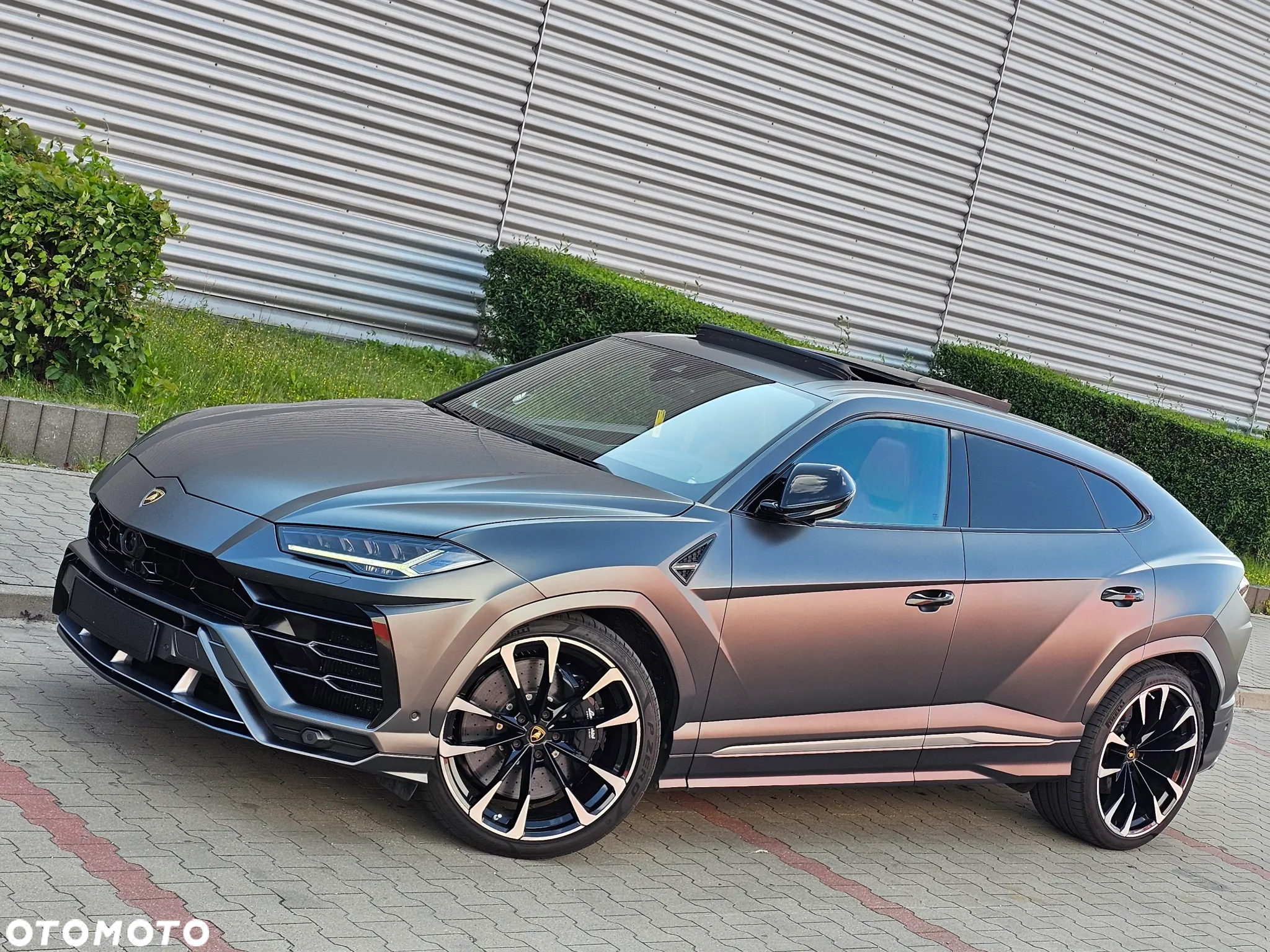 Lamborghini Urus Standard - 4