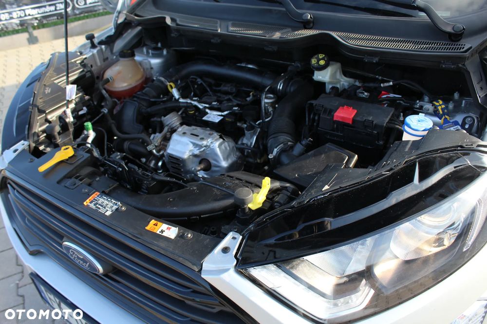 Ford EcoSport - 36