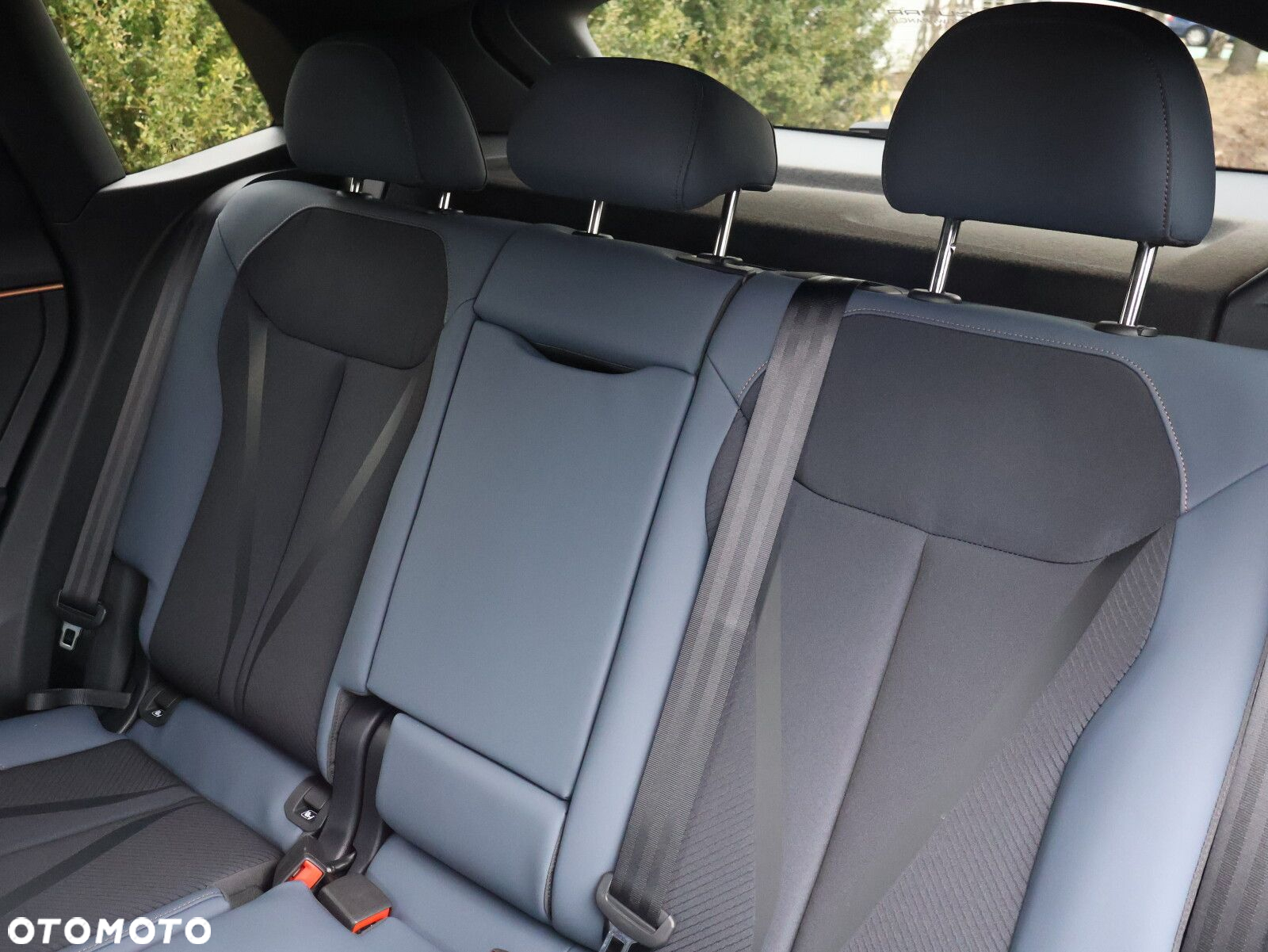 Cupra Terramar 1.5 eTSI mHEV DSG - 38