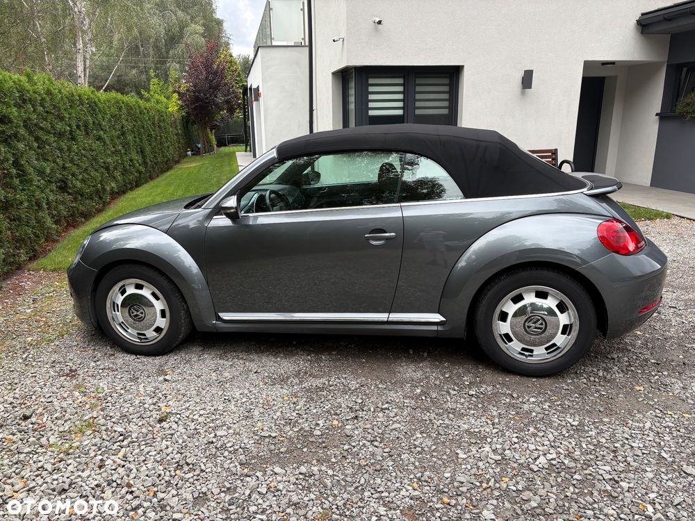 Volkswagen Beetle - 10