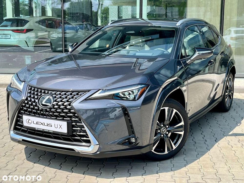Lexus UX 300h Omotenashi AWD - 11