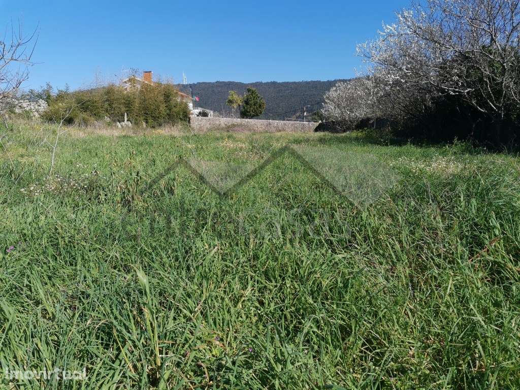 Terreno - Grande imagem: 2/8