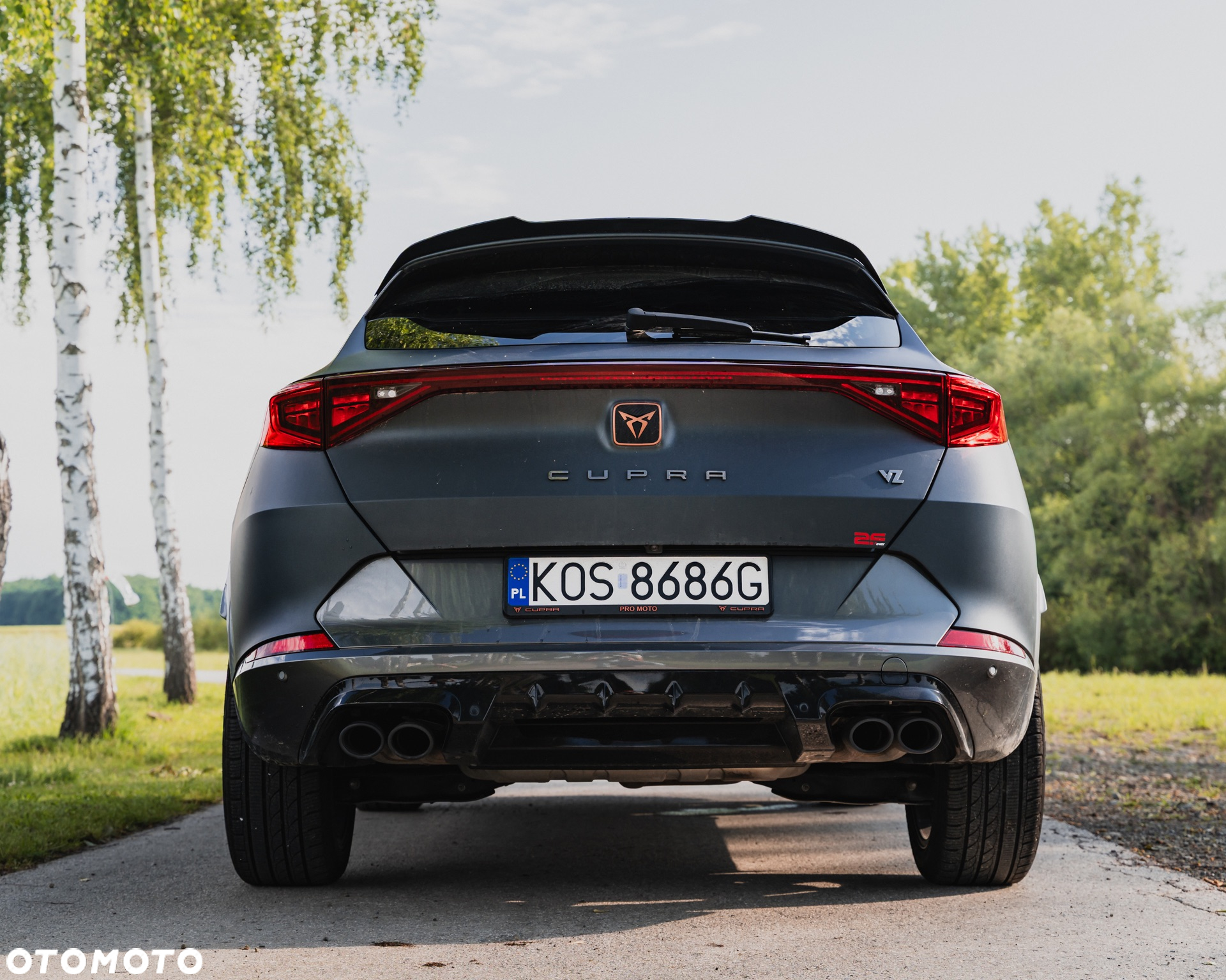 Cupra Formentor VZ 2.0 TSI 4Drive DSG - 23