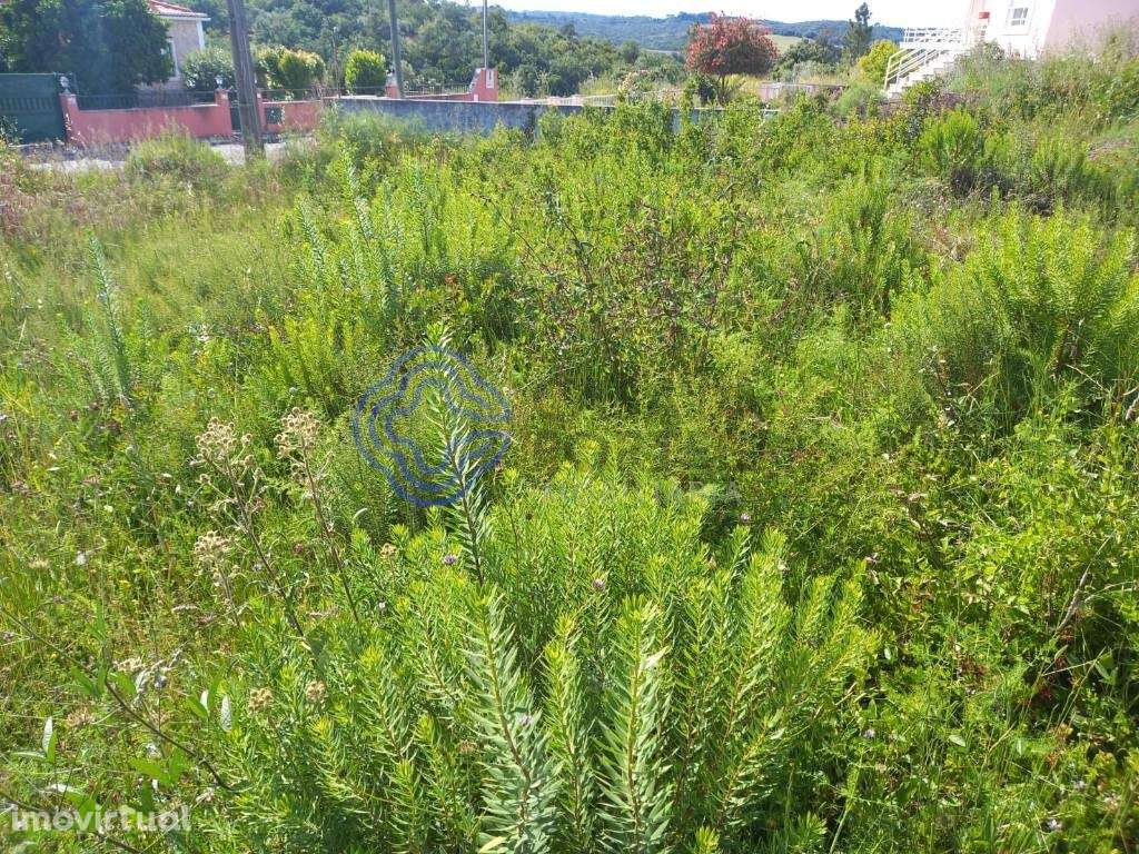 Terreno para construção na cidade de Tomar no cetro de Portugal - Grande imagem: 3/32