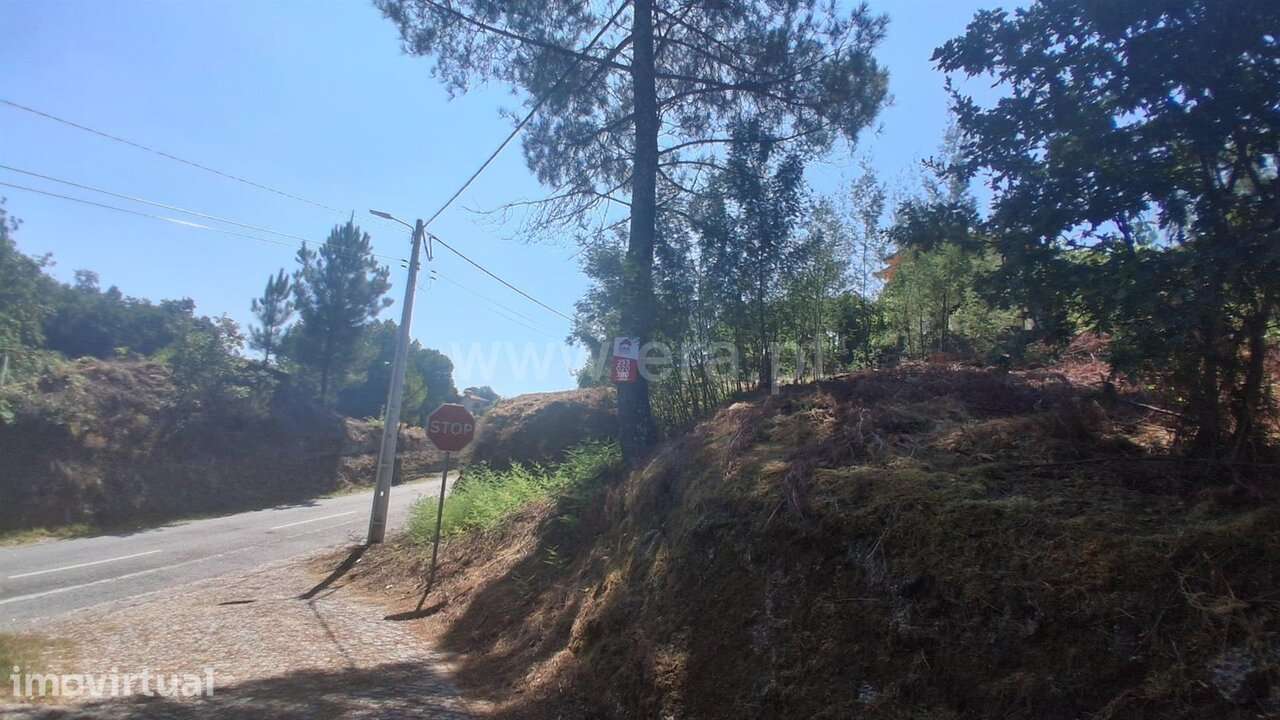 Terreno Rústico / Marco de Canaveses, Tabuado - Grande imagem: 4/4