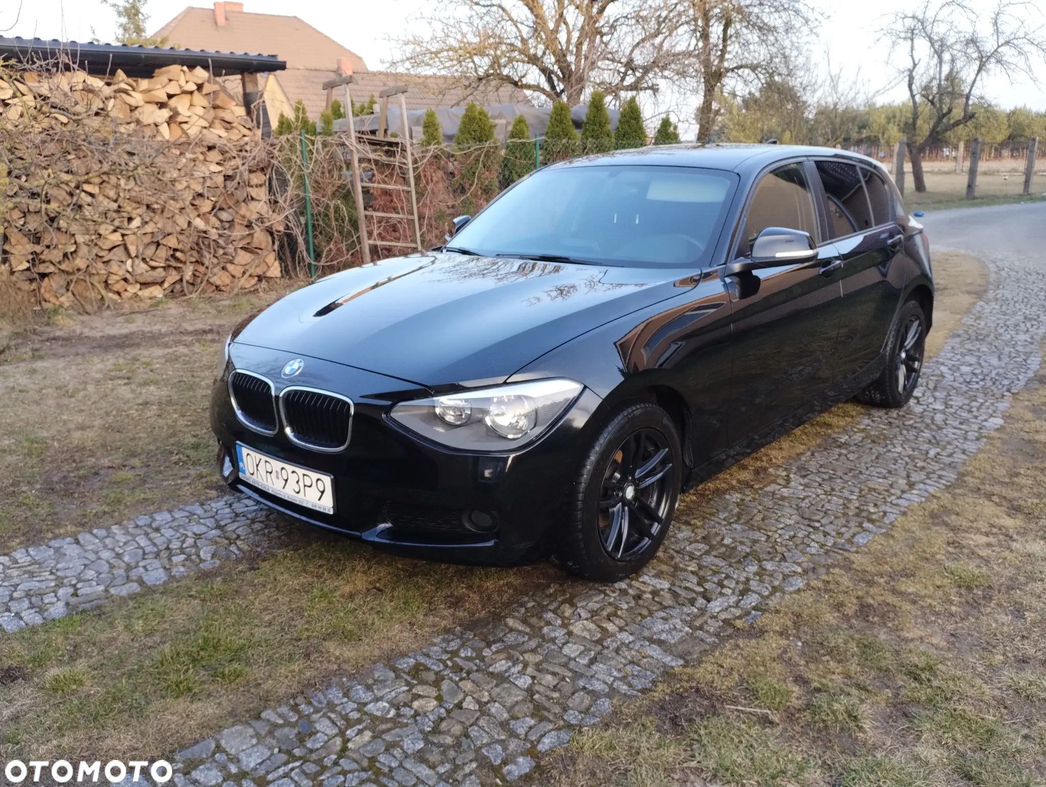 BMW Seria 1 116i - 1