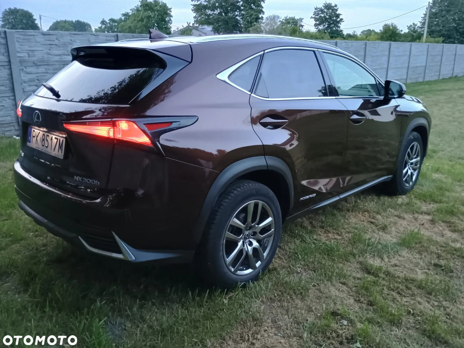 Lexus NX 300h Elegance AWD - 24