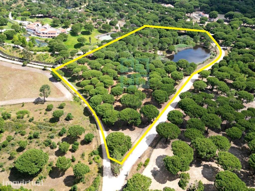 Lote de Terreno de 33.300m2, com lagoa, na Mata do Duque 1, Santo E... - Grande imagem: 2/36