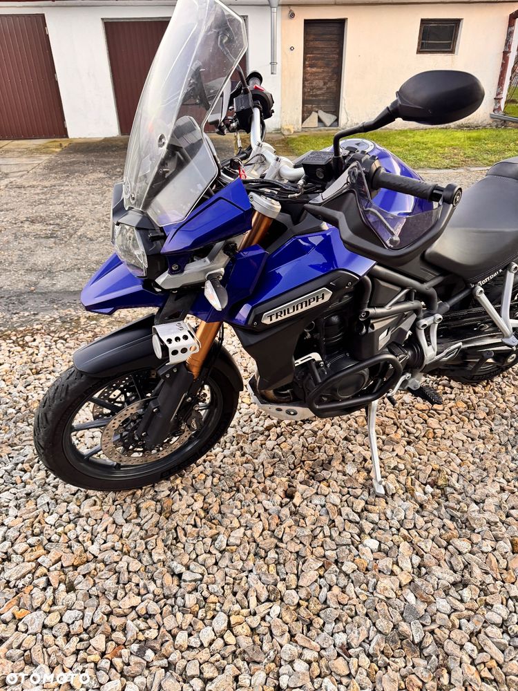 Triumph Tiger - 19