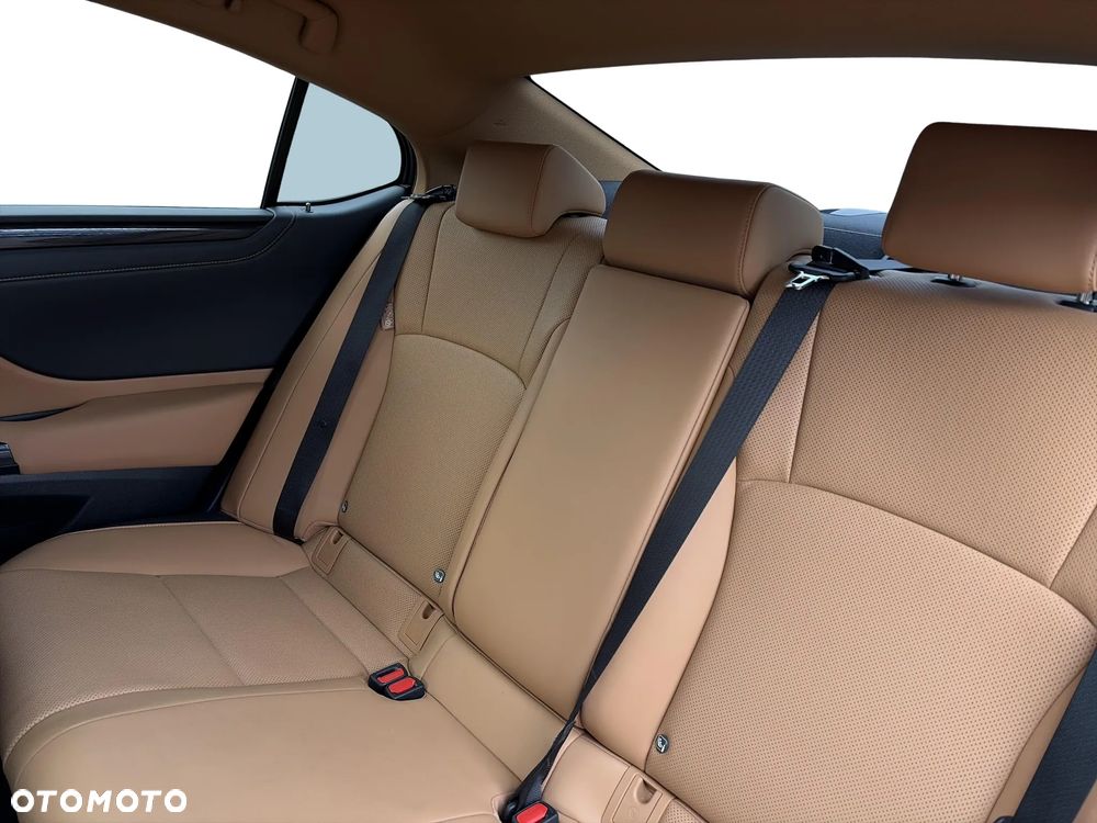 Lexus ES 300h Business Edition - 14