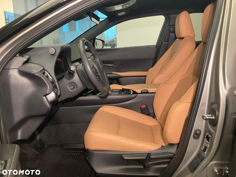 Lexus UX 300h F Sport Design - 10