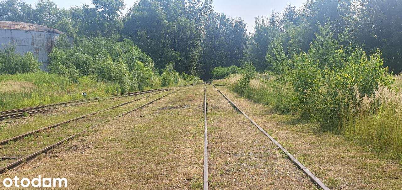 Tomt, 40541 m²