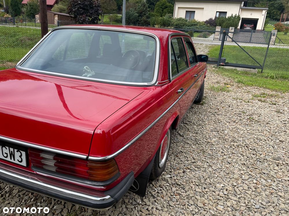 Mercedes-Benz W123 - 5