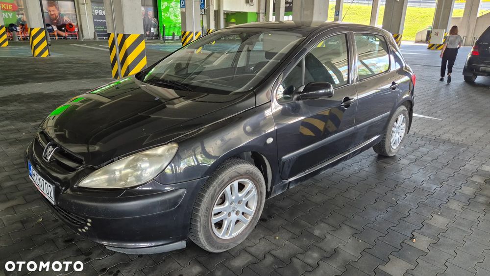 Peugeot 307 1.6 Mistral - 3