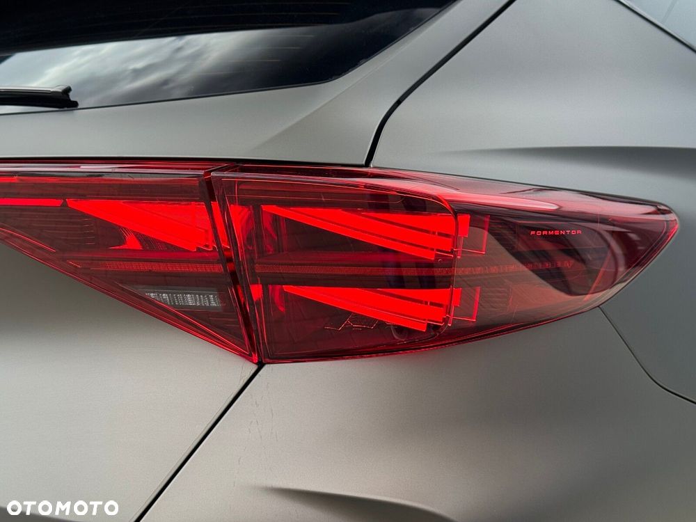 Cupra Formentor 2.0 TSI 4Drive DSG - 16