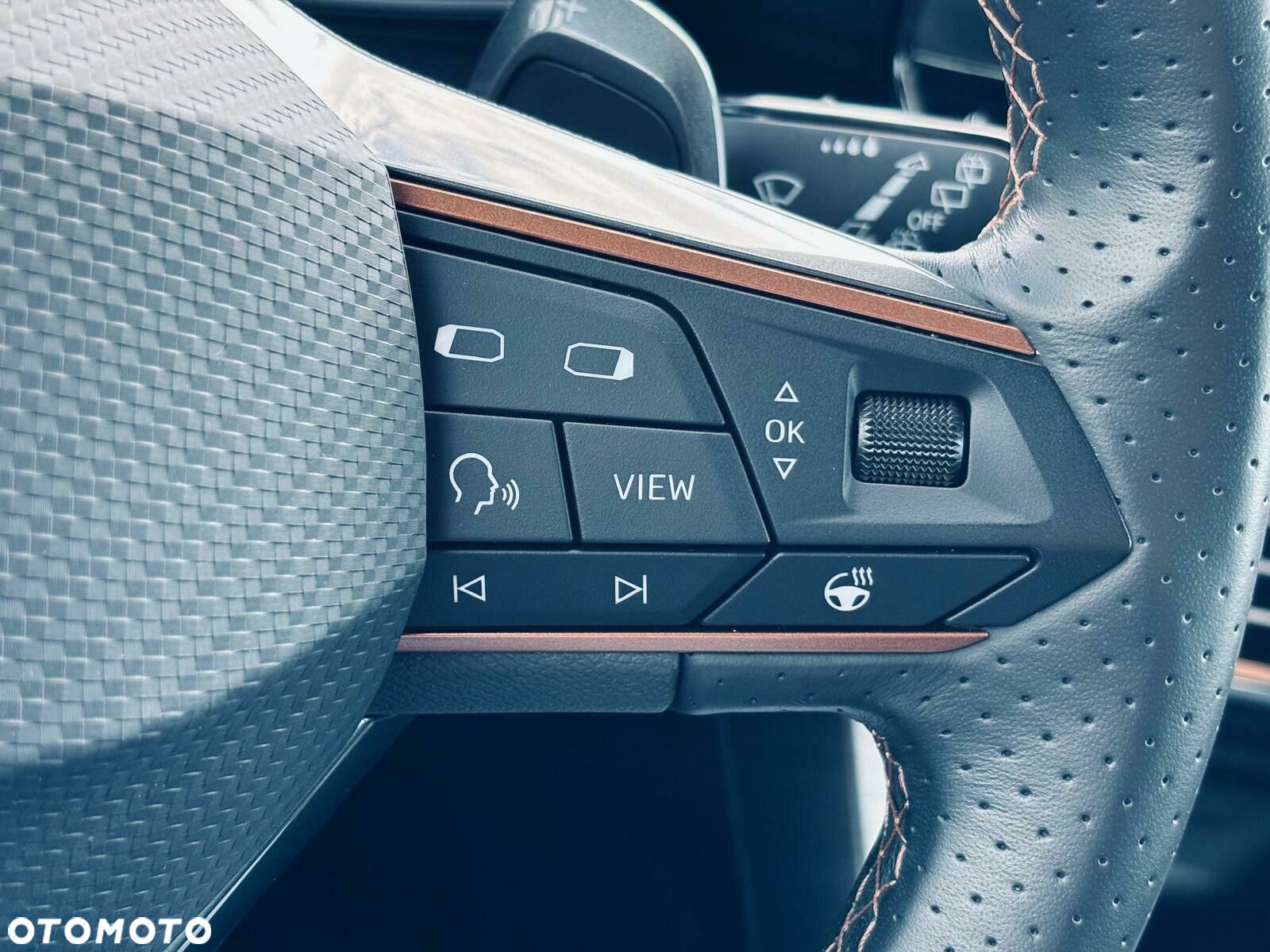 Cupra Formentor - 25