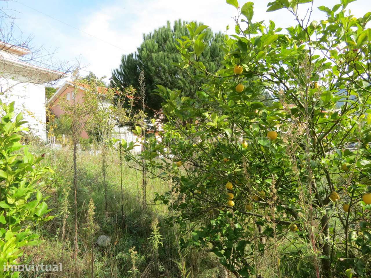 Lote de Terreno  Venda em São Gião,Oliveira do Hospital - Grande imagem: 5/9