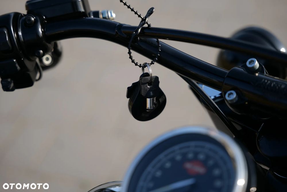 Harley-Davidson Softail Slim - 19