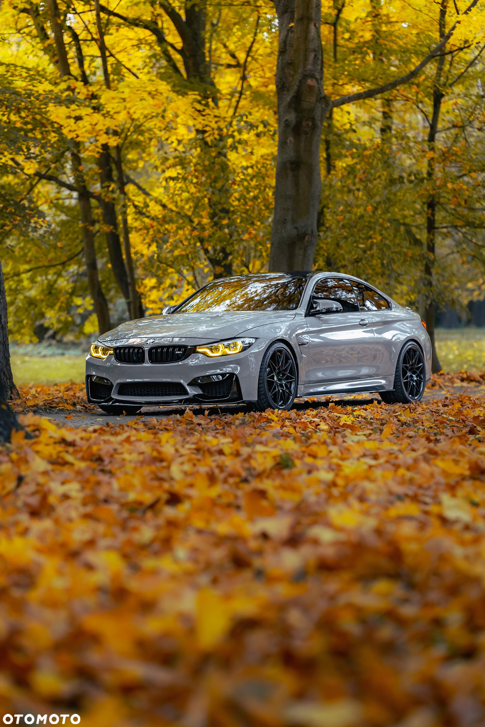 BMW M4 Competition GPF DKG - 9