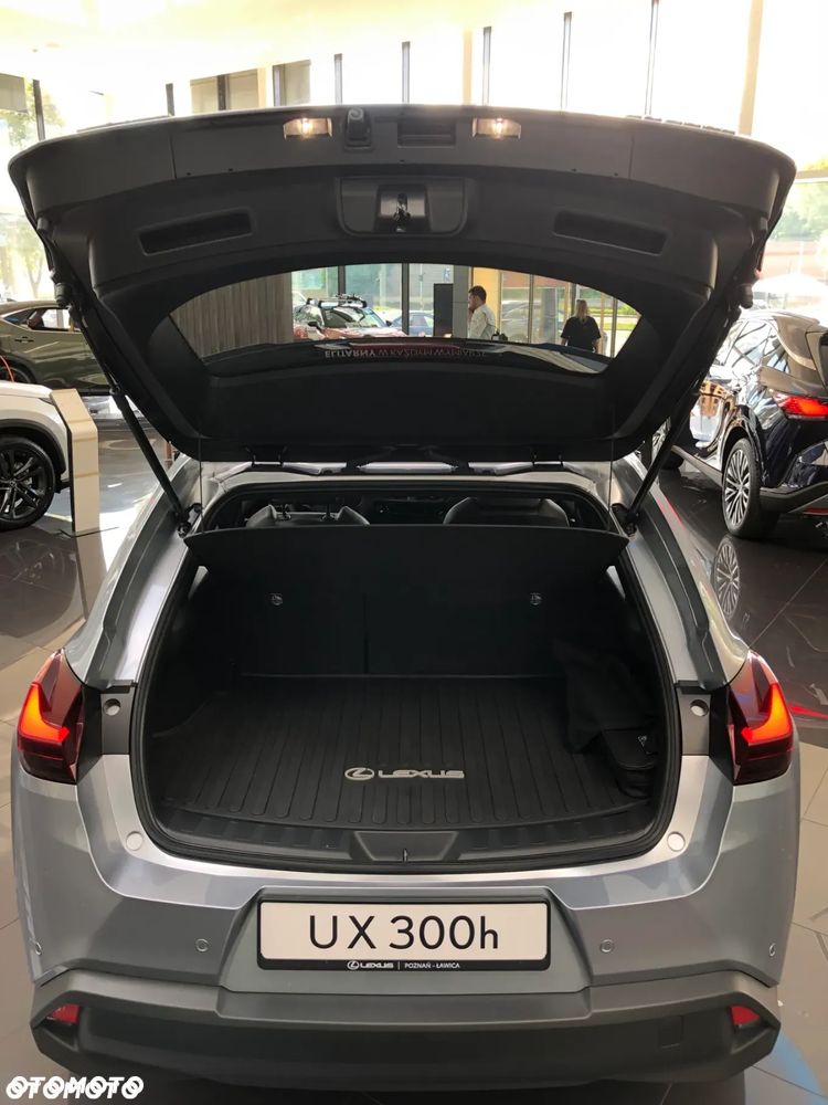 Lexus UX 300h Business - 8