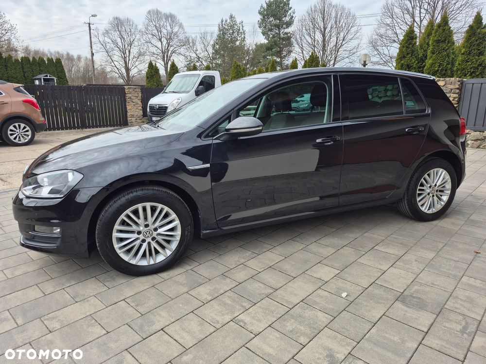 Volkswagen Golf - 15