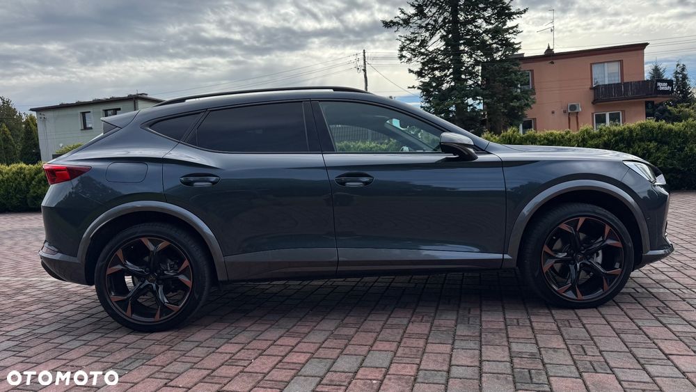 Cupra Formentor 2.0 TSI 4Drive DSG - 22