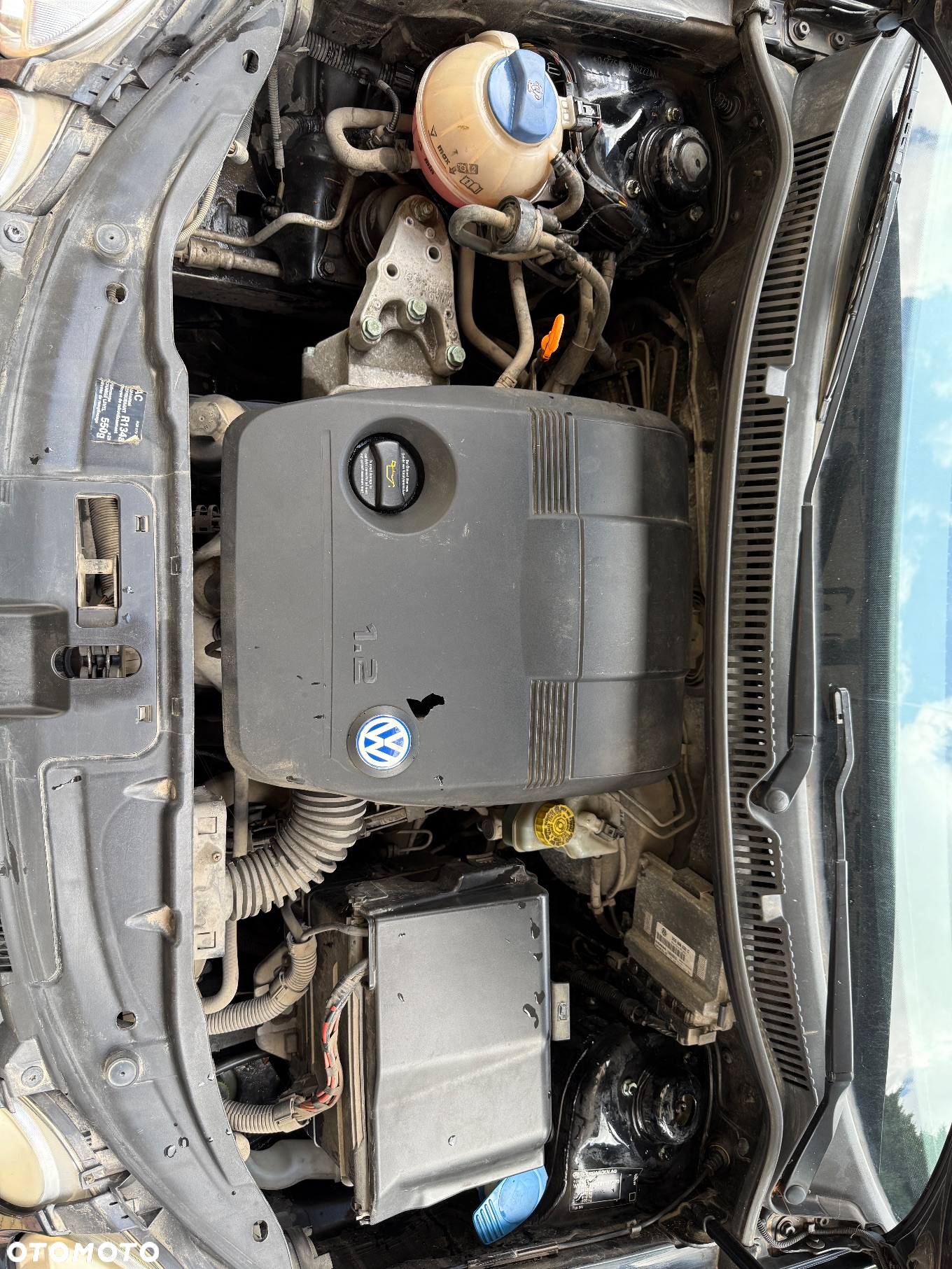 Volkswagen Polo - 16