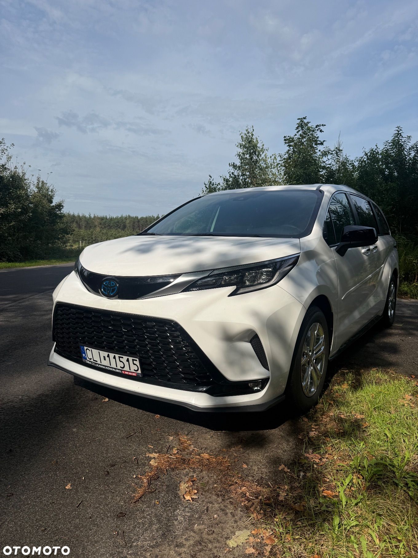 Toyota Sienna - 1