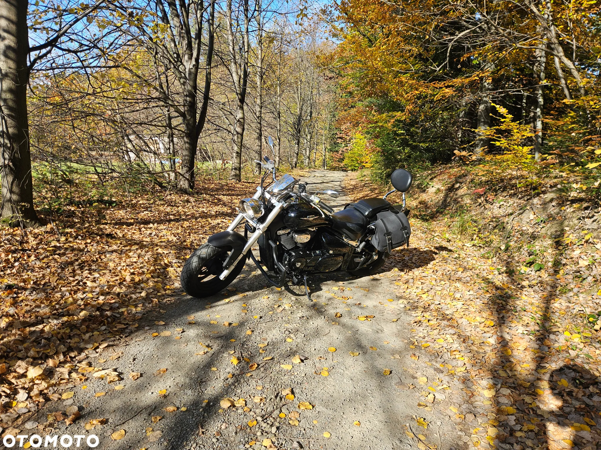 Suzuki Intruder - 2