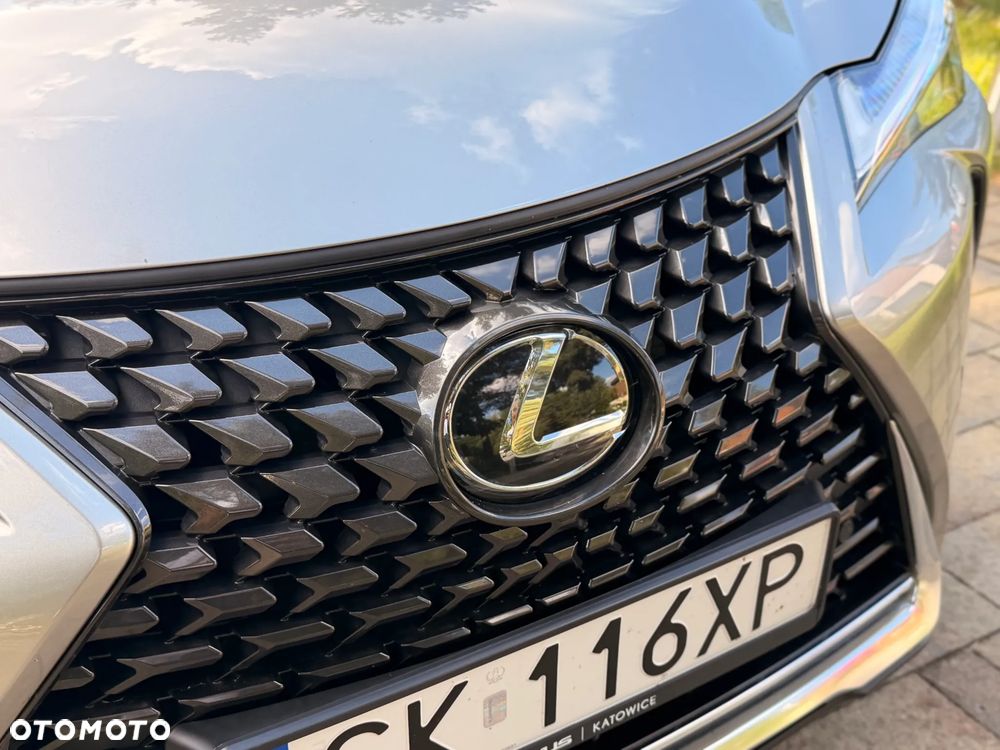 Lexus UX 250h GPF Business 2WD - 17
