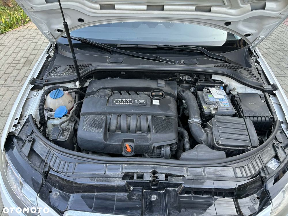 Audi A3 Sportback 1.6 Ambiente - 14