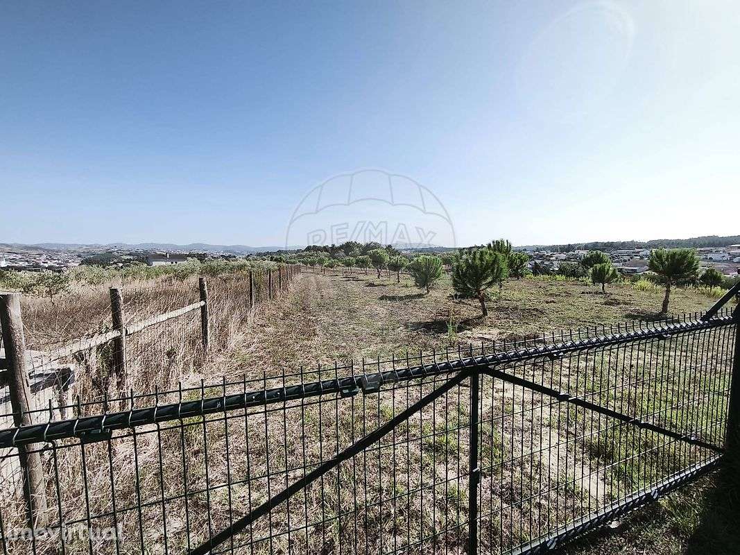 Terreno  para venda - Grande imagem: 3/4