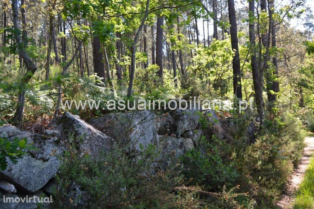 Terreno - Caires - Grande imagem: 2/5