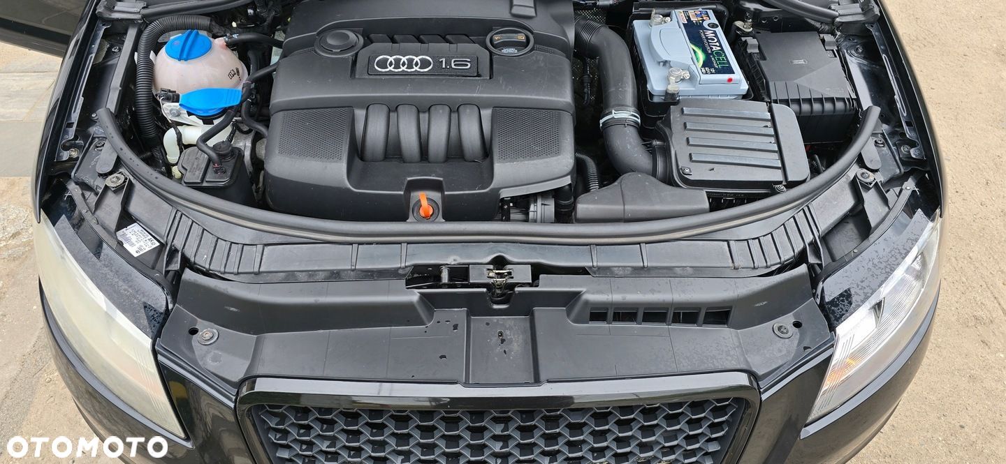 PAS PRZEDNI AUDI A3 8P LIFT 1.6 MPI BENZYNA KOMPLETNY 08-12 - 1