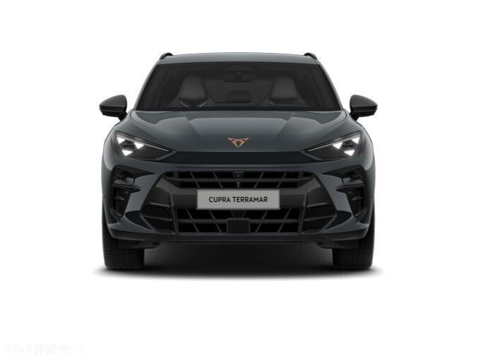 Cupra Terramar 2.0 TSI 4Drive DSG - 6