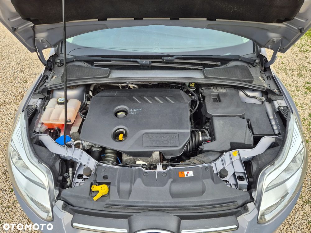 Ford Focus - 18