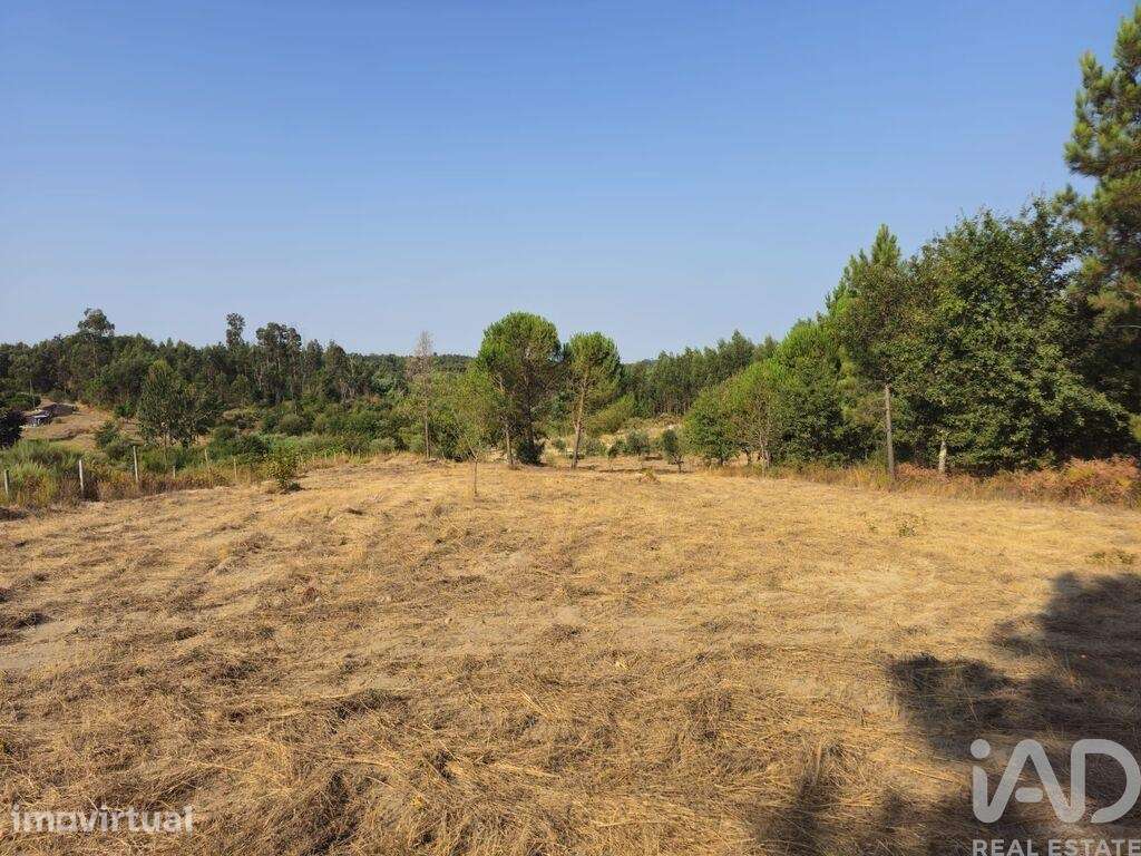 Casa / Villa em Mangualde, Mesquitela e Cunha Alta - Grande imagem: 4/4