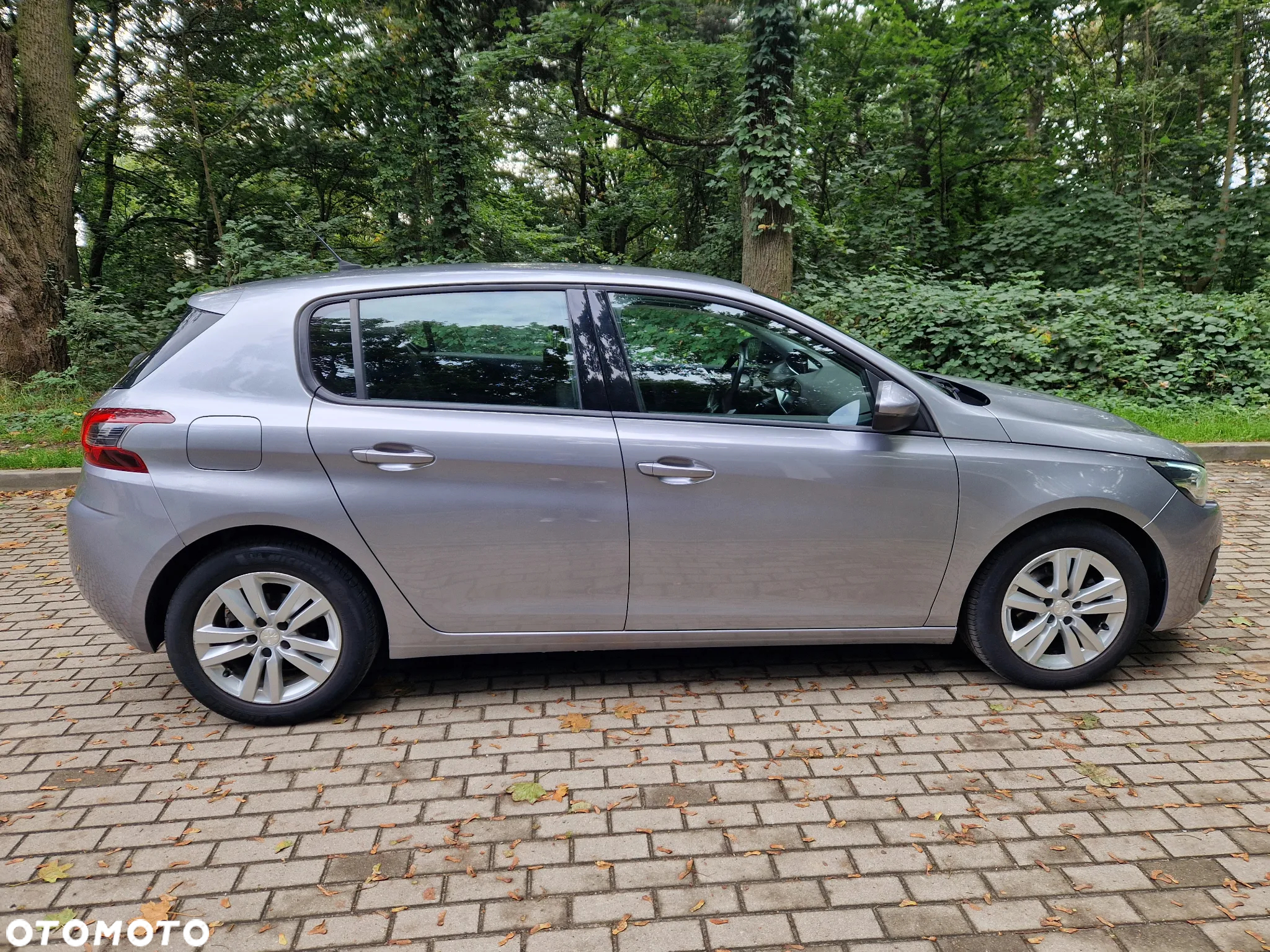 Peugeot 308 1.5 BlueHDi Active S&S - 11