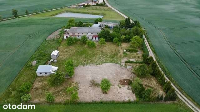 Działka 3741 m² z mediami – Wysoka Krajeńska - Pełny obrazek: 4/13