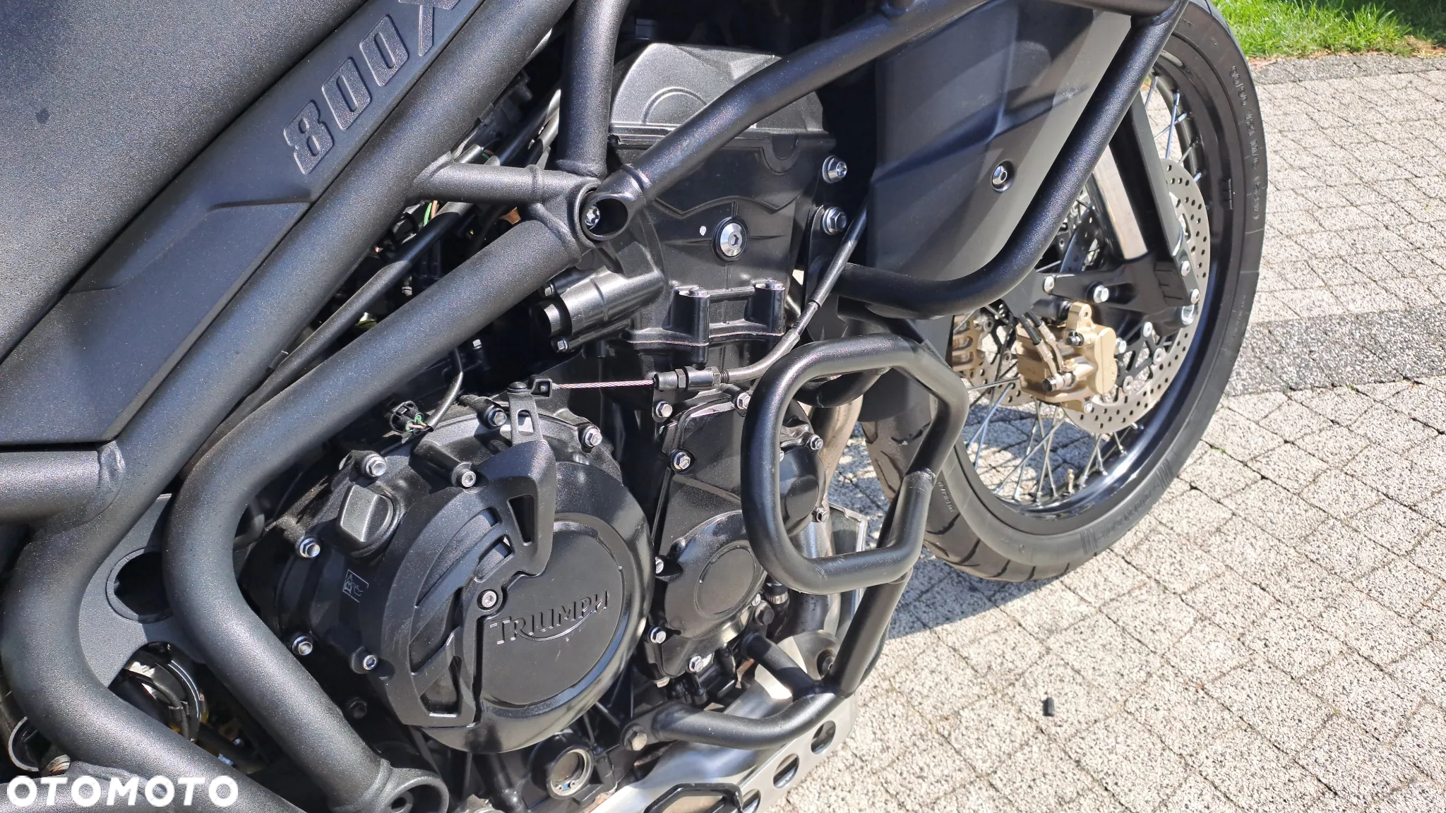 Triumph Tiger - 12